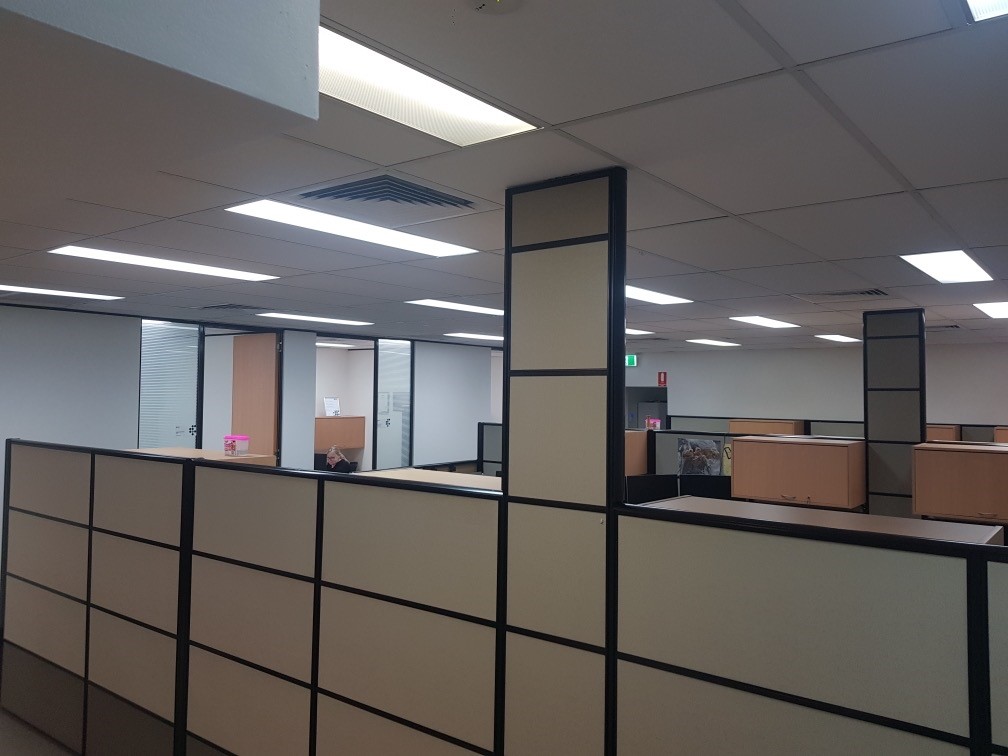 Freshly_painted_back_office