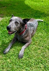 received_1423004371901252